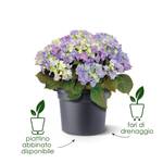 green basics cilinder 35cm leaf green